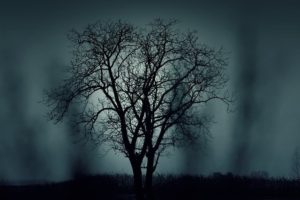 ハロウィンの歌を英語で!youtube 6選(英語歌詞/日本語訳/単語帳付)