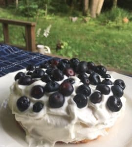 blueberry cake2
