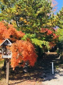 秋の軽井沢の服装: 子供から大人までの服装を現地からレポート