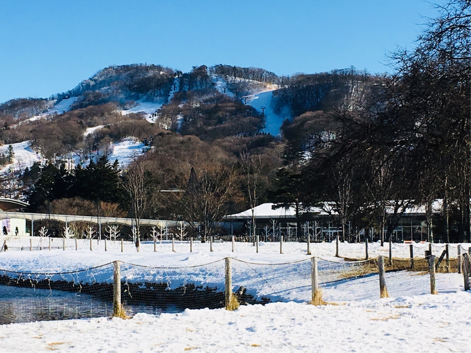 軽井沢アウトレット！クリスマスの混雑状況やセール状況、割引率は？